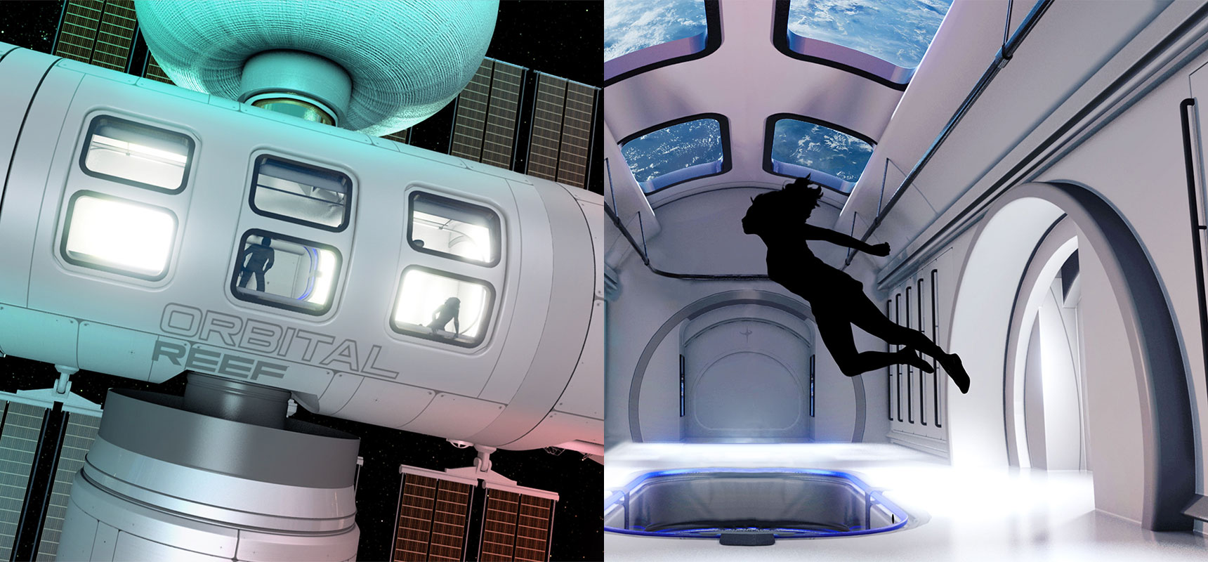 module central orbital reef