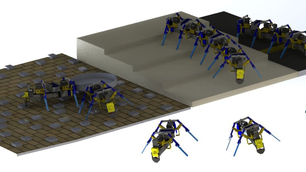 vue artiste robots quadrupedes essaim universite notre dame