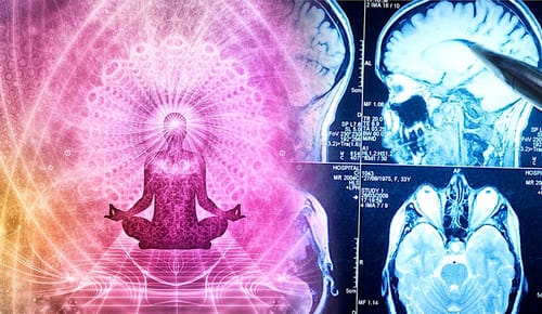 Le yoga peut renforcer les régions du cerveau les plus touchées par le vieillissement